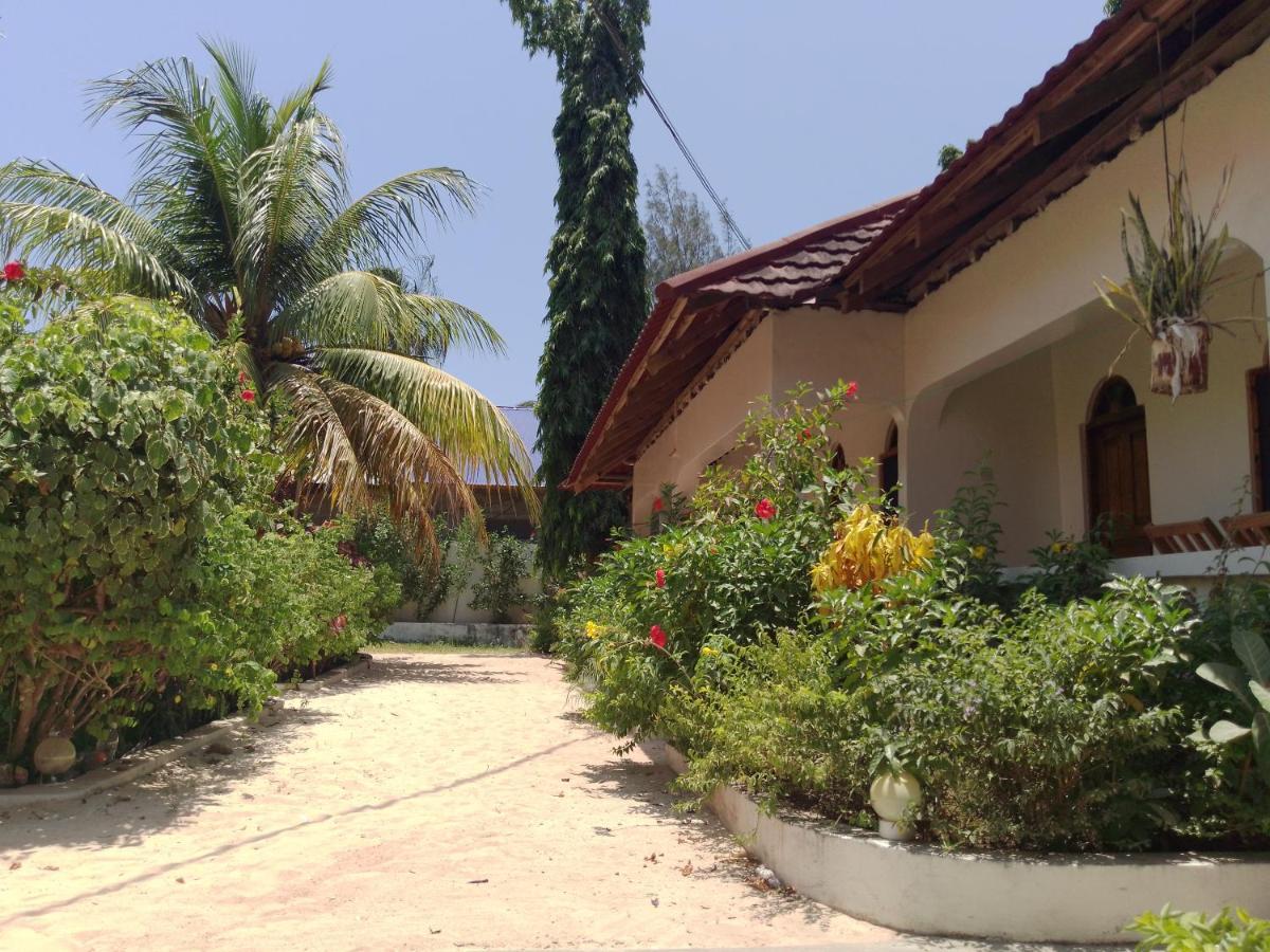 H & H Bungalows Nungwi Ngoại thất bức ảnh