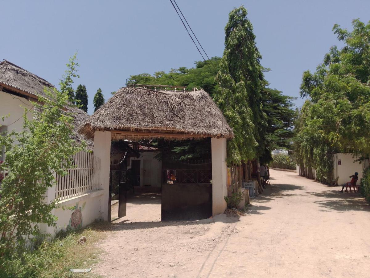 H & H Bungalows Nungwi Ngoại thất bức ảnh