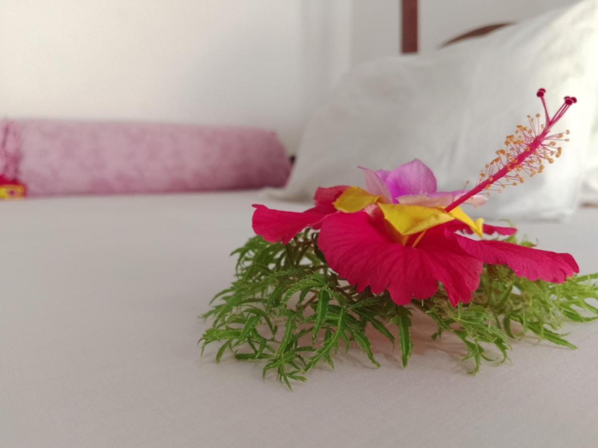 H & H Bungalows Nungwi Ngoại thất bức ảnh