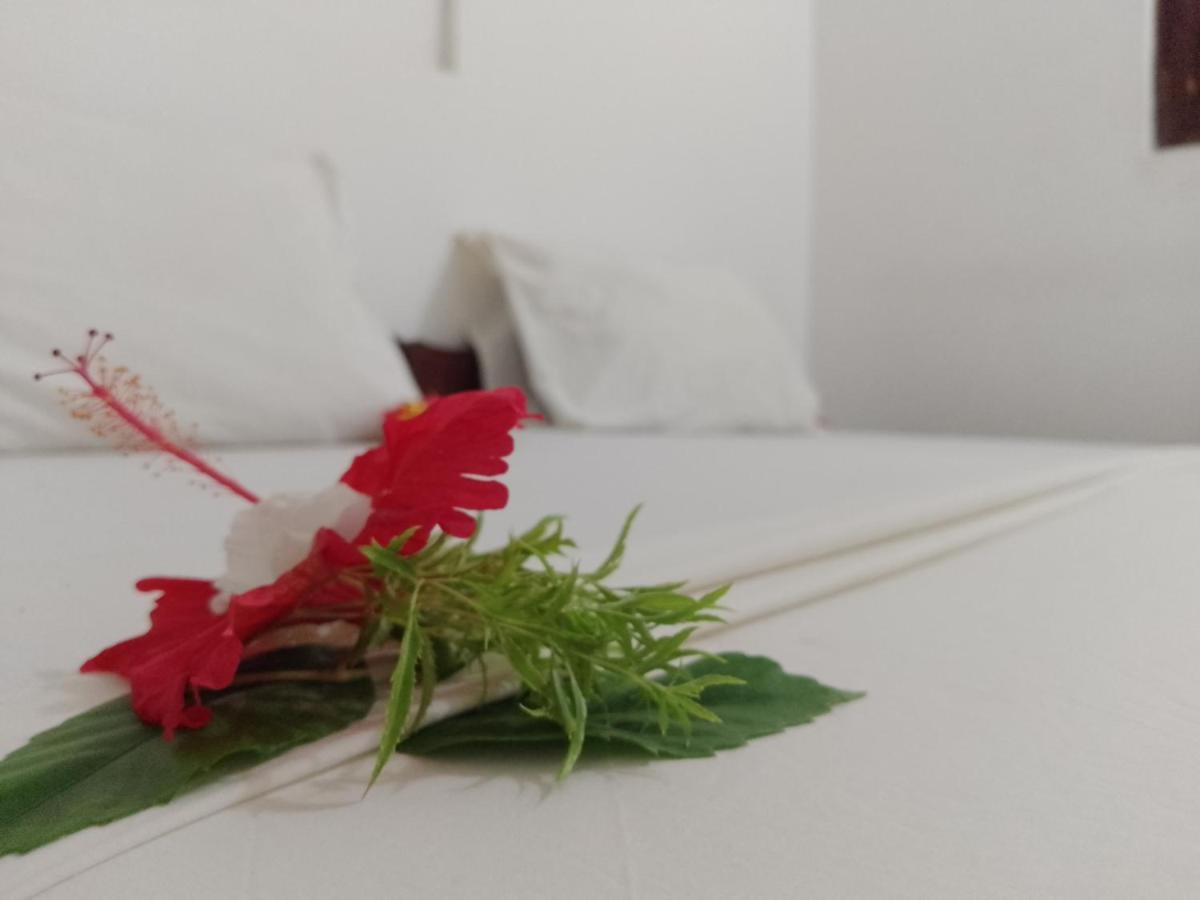 H & H Bungalows Nungwi Ngoại thất bức ảnh