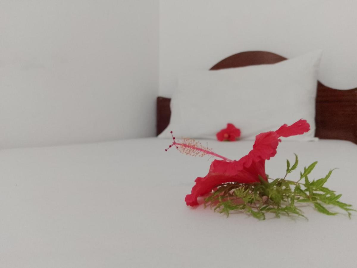 H & H Bungalows Nungwi Ngoại thất bức ảnh