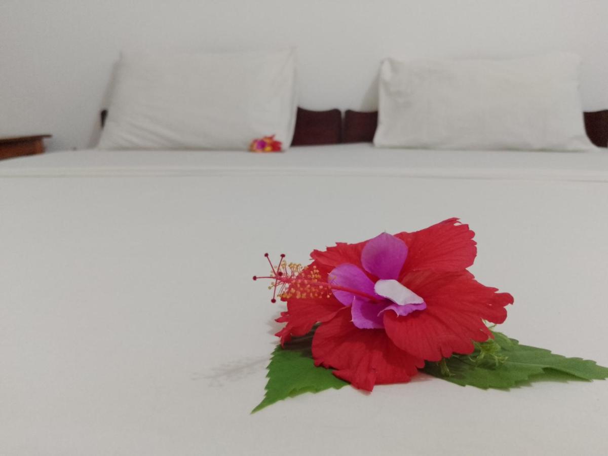 H & H Bungalows Nungwi Ngoại thất bức ảnh